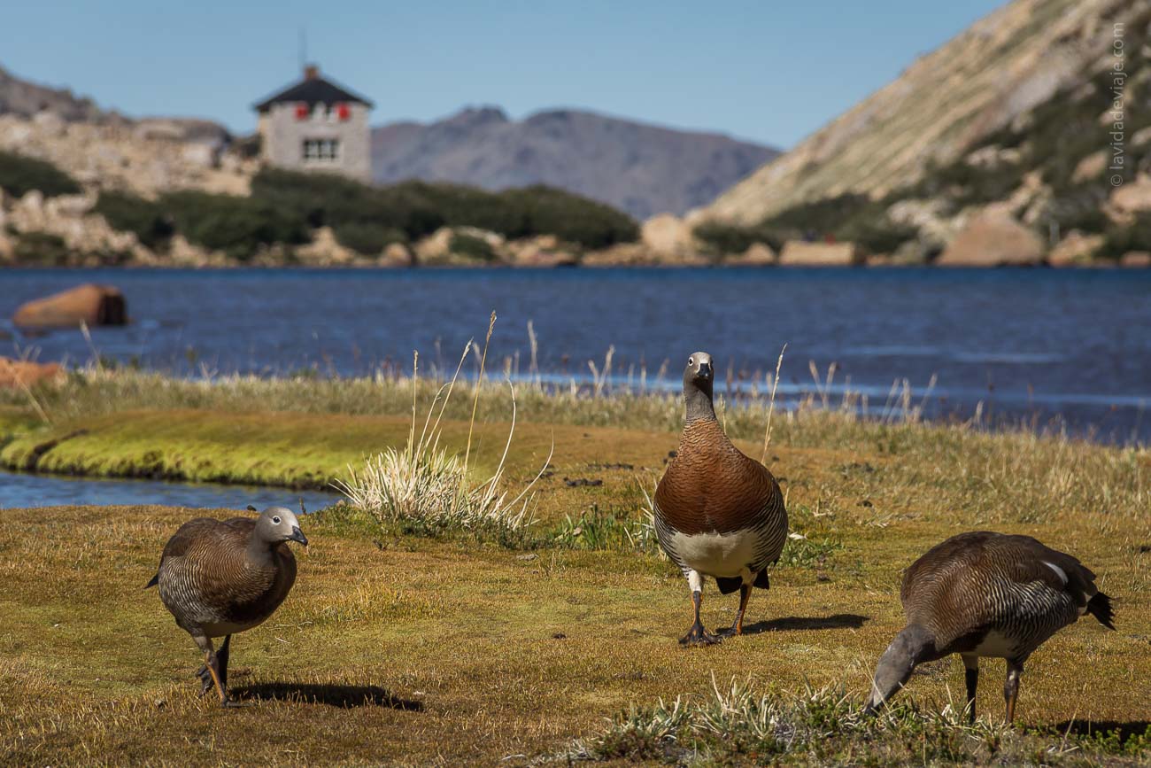 refugio frey bariloche