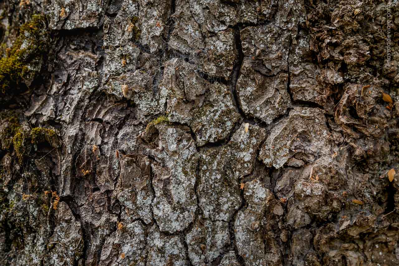 PN LANIN EN BICICLETA