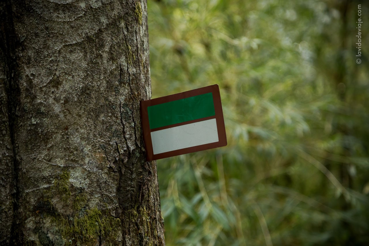 PN LANIN en bicicleta