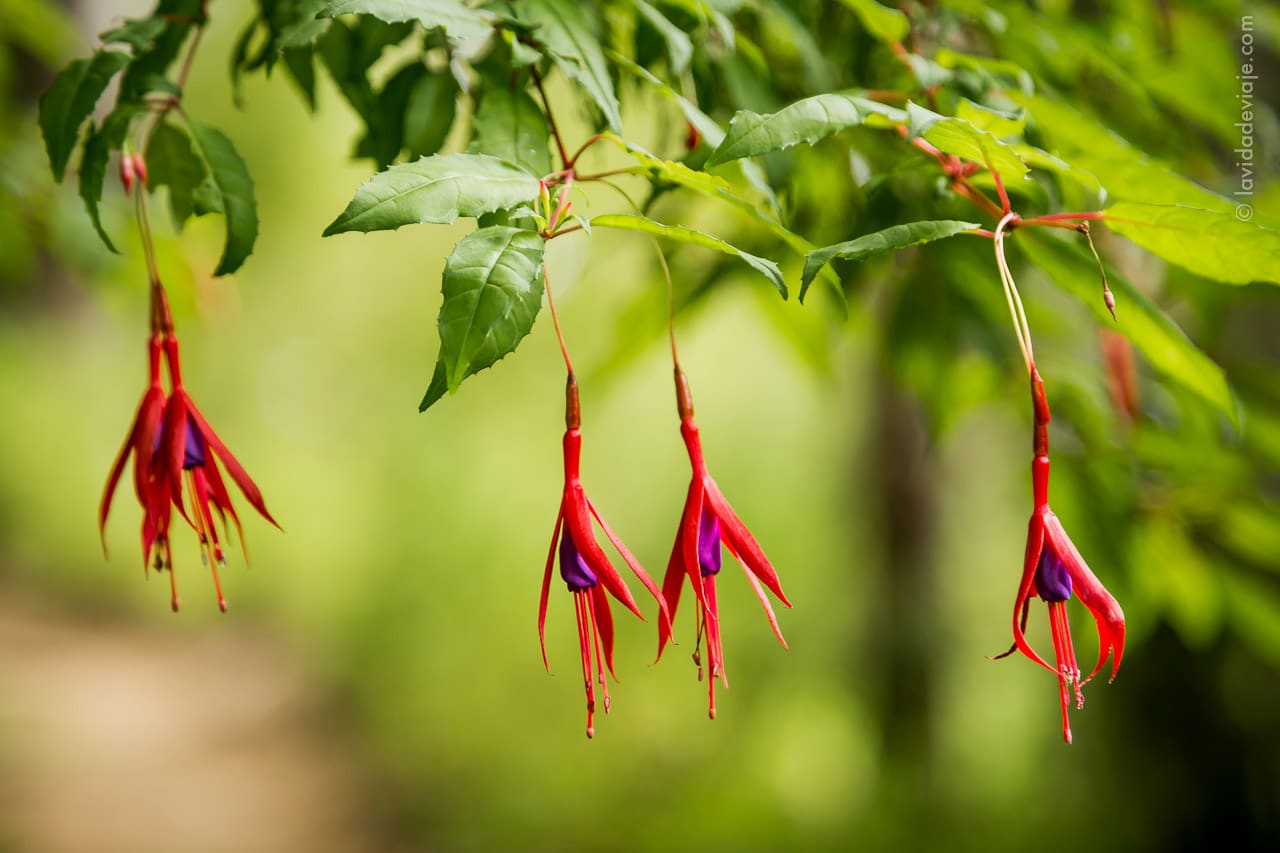 PN LANIN en bicicleta