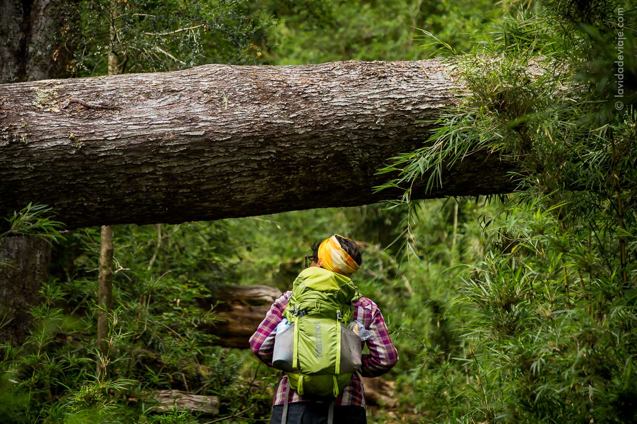 PN LANIN en bicicleta