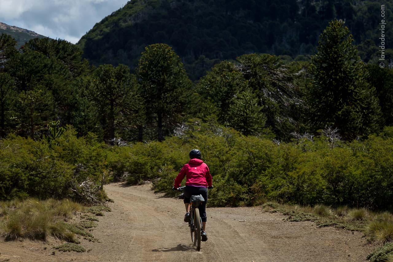 PN LANIN EN BICICLETA