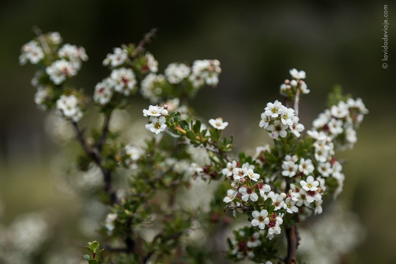 PN LANIN EN BICICLETA